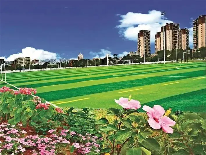 篮球周期训练计划怎么写的_0
